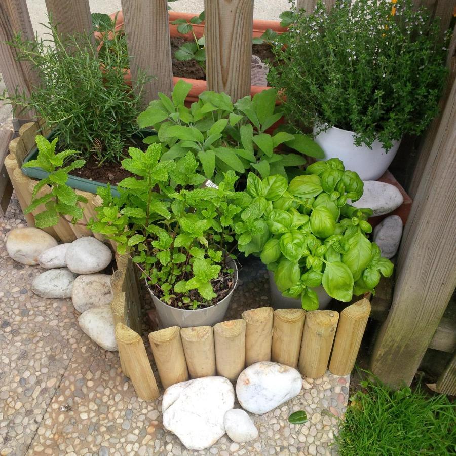 מרינה די פיזה Casa Del Sole Apartments With Garden מראה חיצוני תמונה